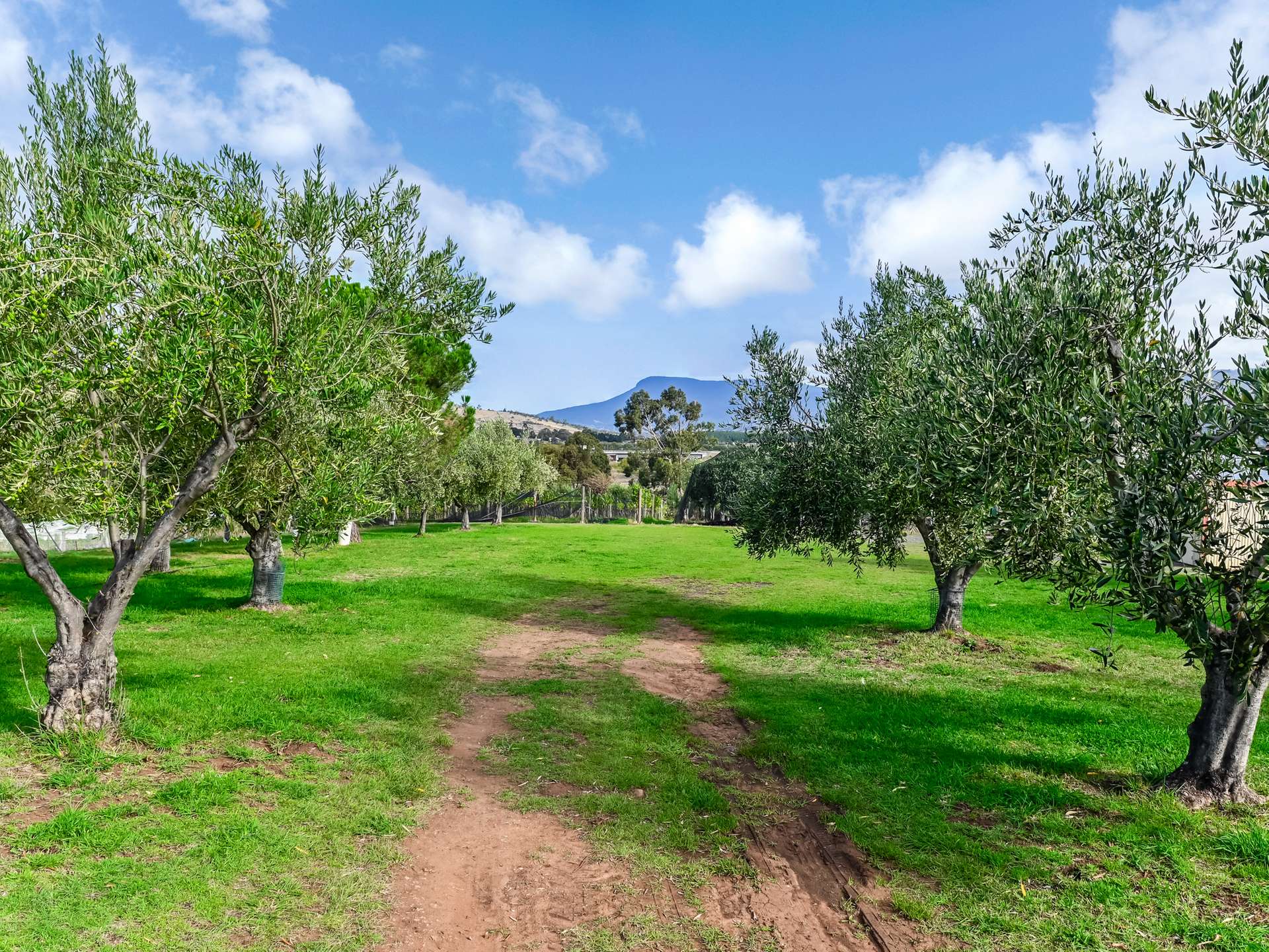 173 Tea Tree Road, Brighton For Sale by Farmbuy.com - image 25