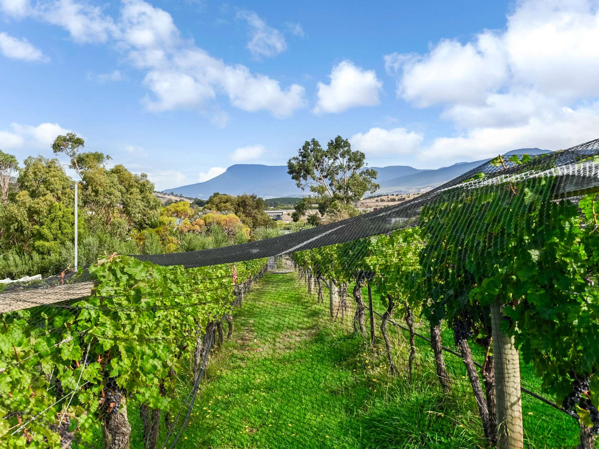 173 Tea Tree Road, Brighton For Sale by Farmbuy.com - image 23
