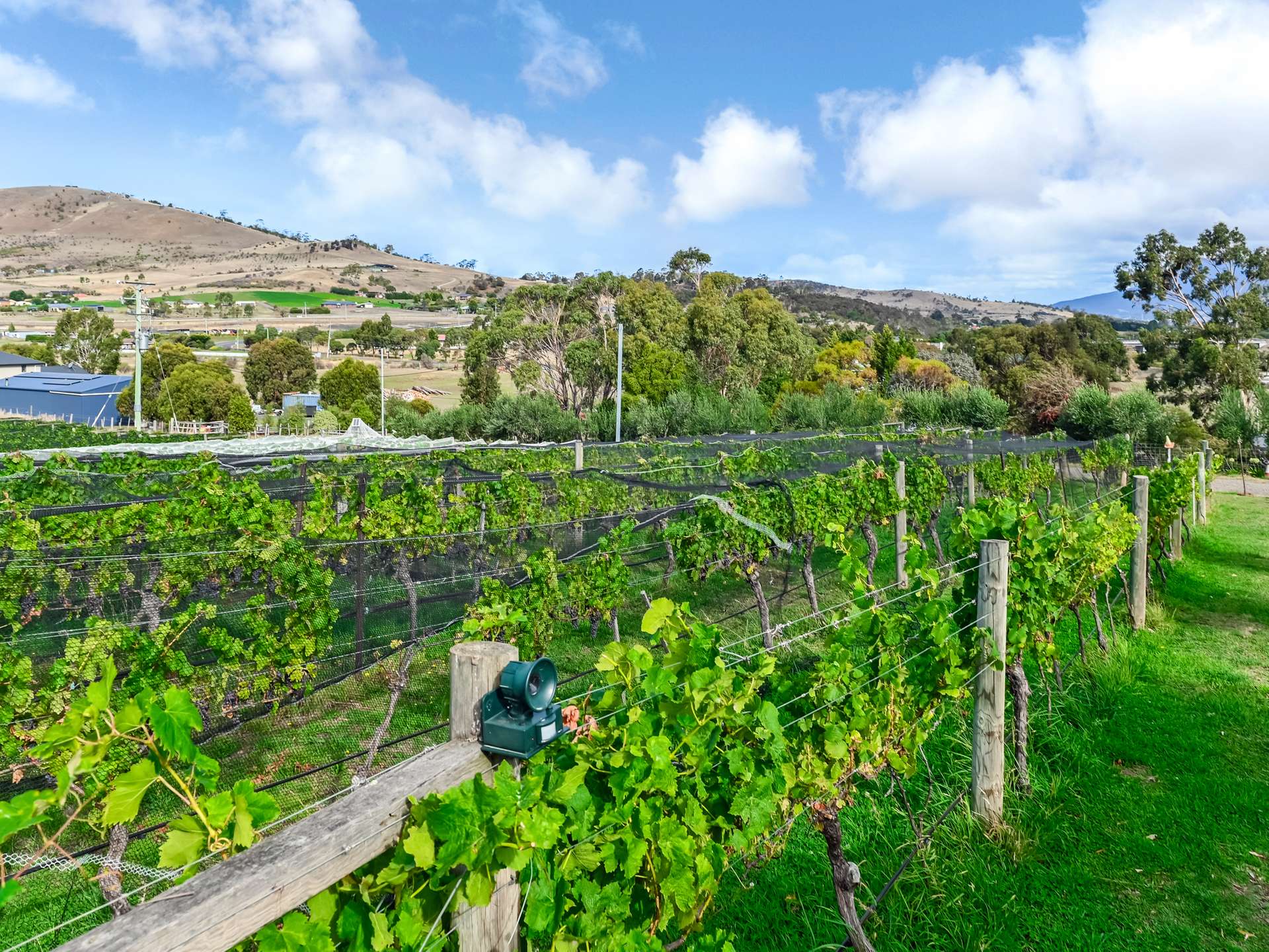 173 Tea Tree Road, Brighton For Sale by Farmbuy.com - image 24