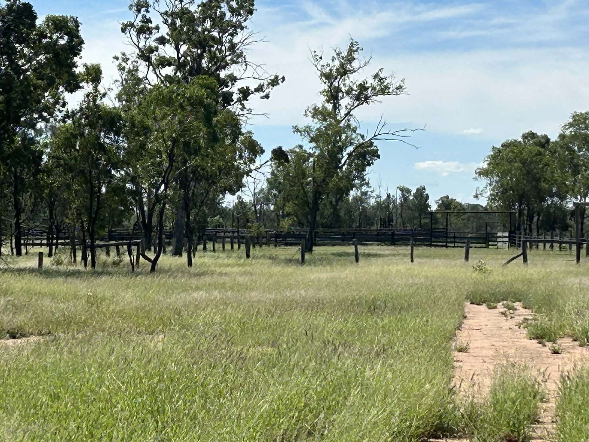 Lot 65 Elerslea Lane, Condamine Auction by Farmbuy.com - image 11