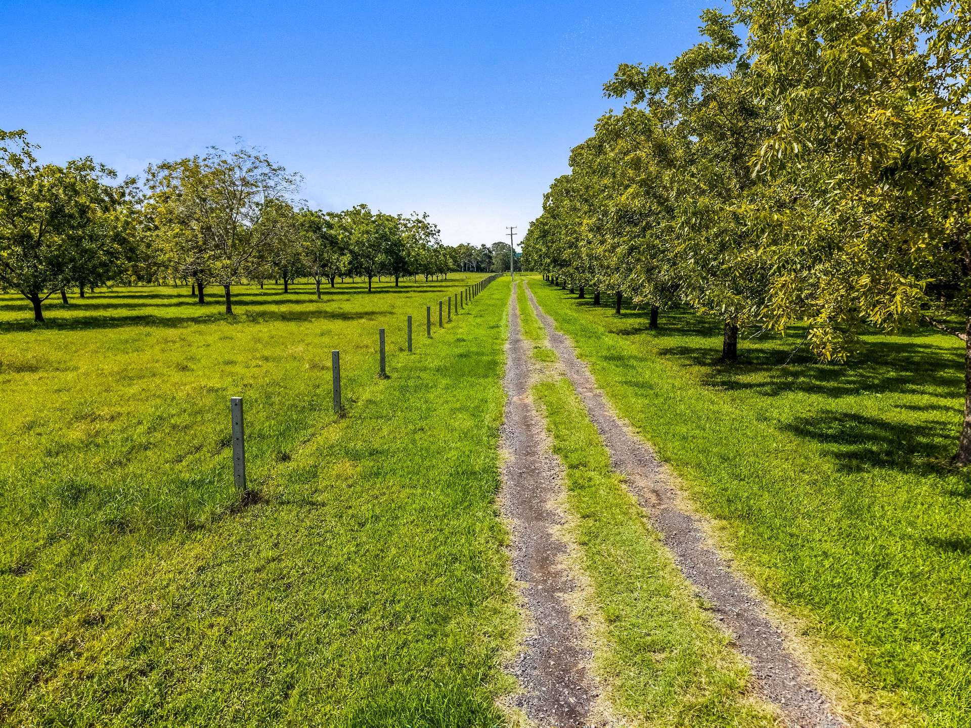 125 River Bank Road, Wyrallah For Sale by Farmbuy.com - image 21