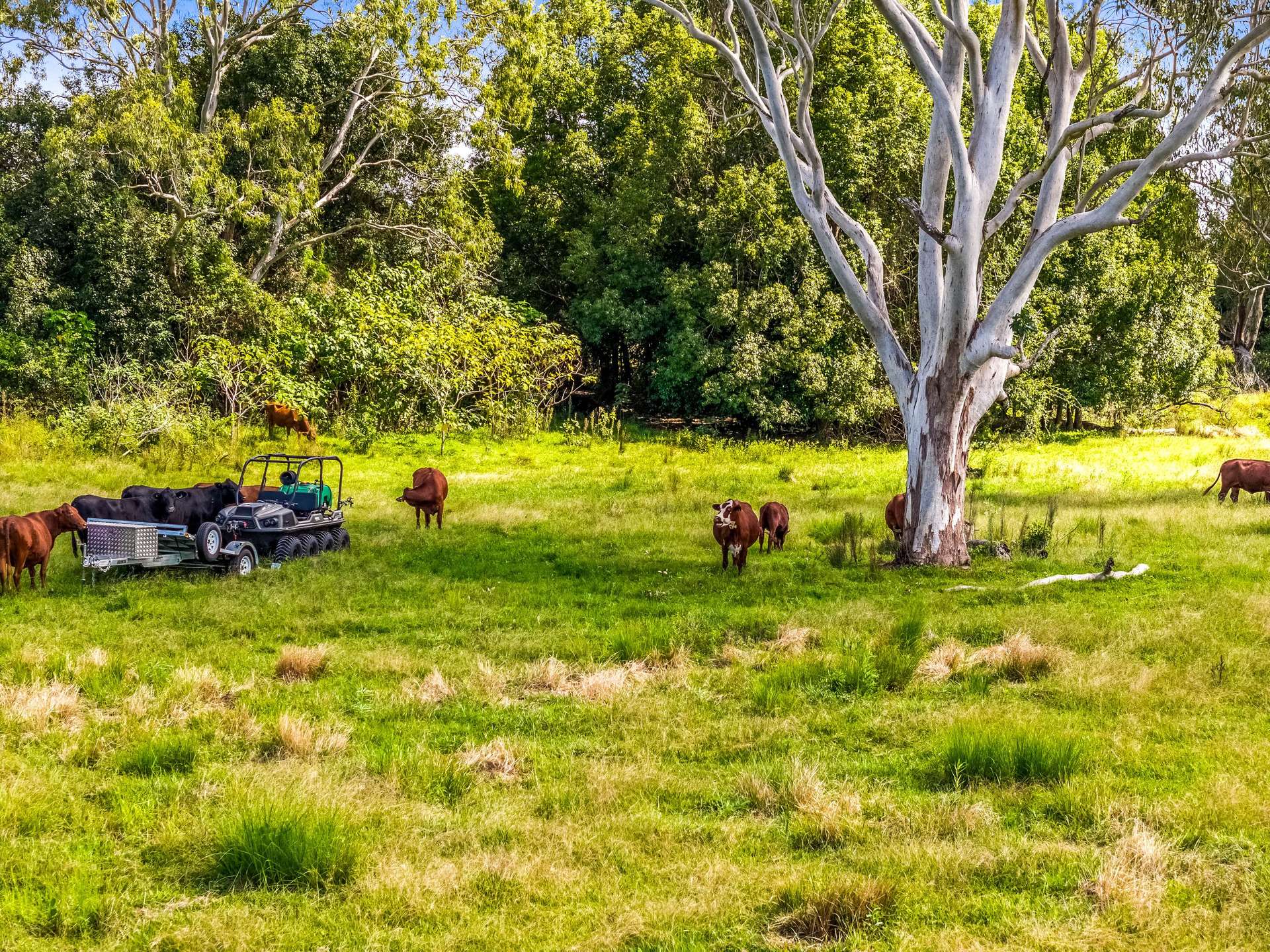 125 River Bank Road, Wyrallah For Sale by Farmbuy.com - image 20