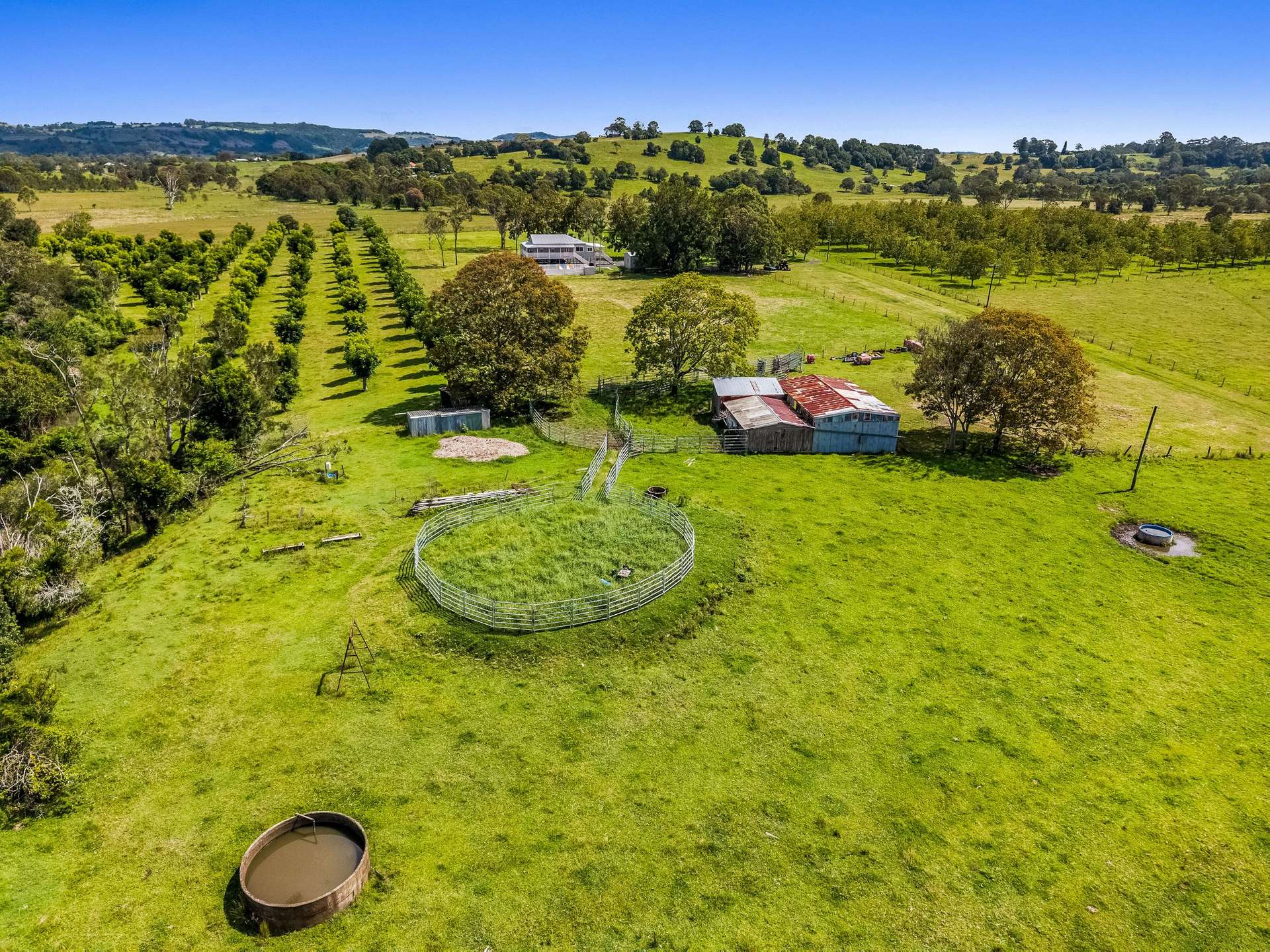 125 River Bank Road, Wyrallah For Sale by Farmbuy.com - image 23