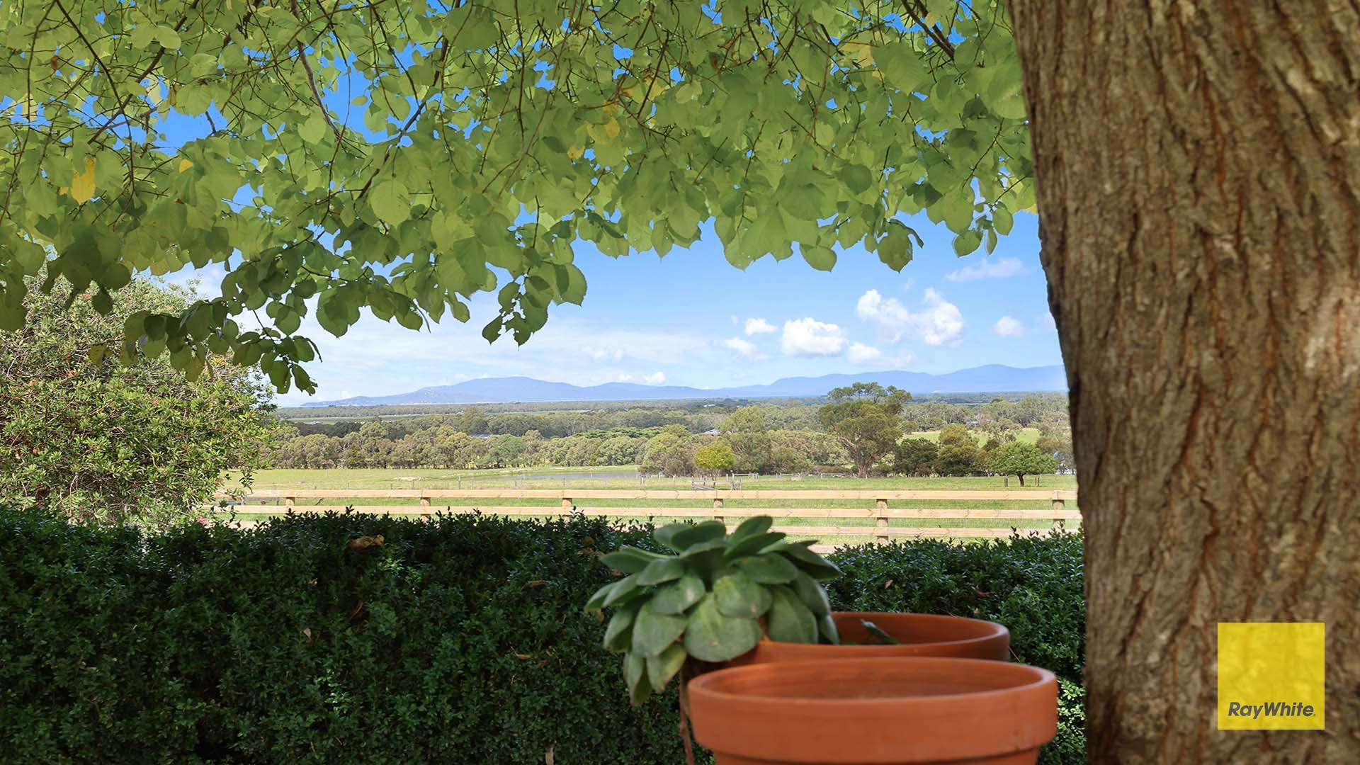 74A Mckanes Road, Agnes For Sale by Farmbuy.com - image 5