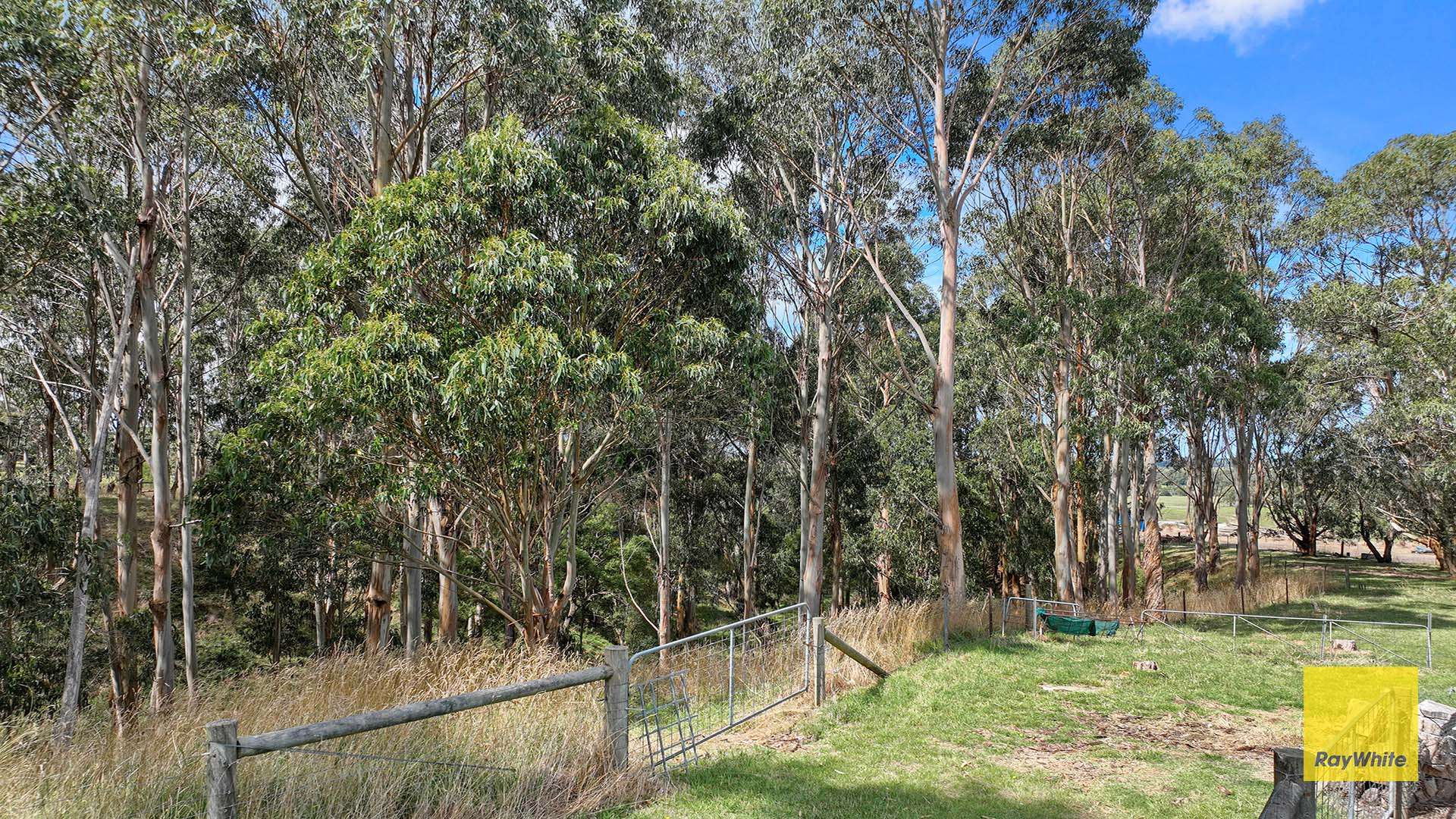 74A Mckanes Road, Agnes For Sale by Farmbuy.com - image 25