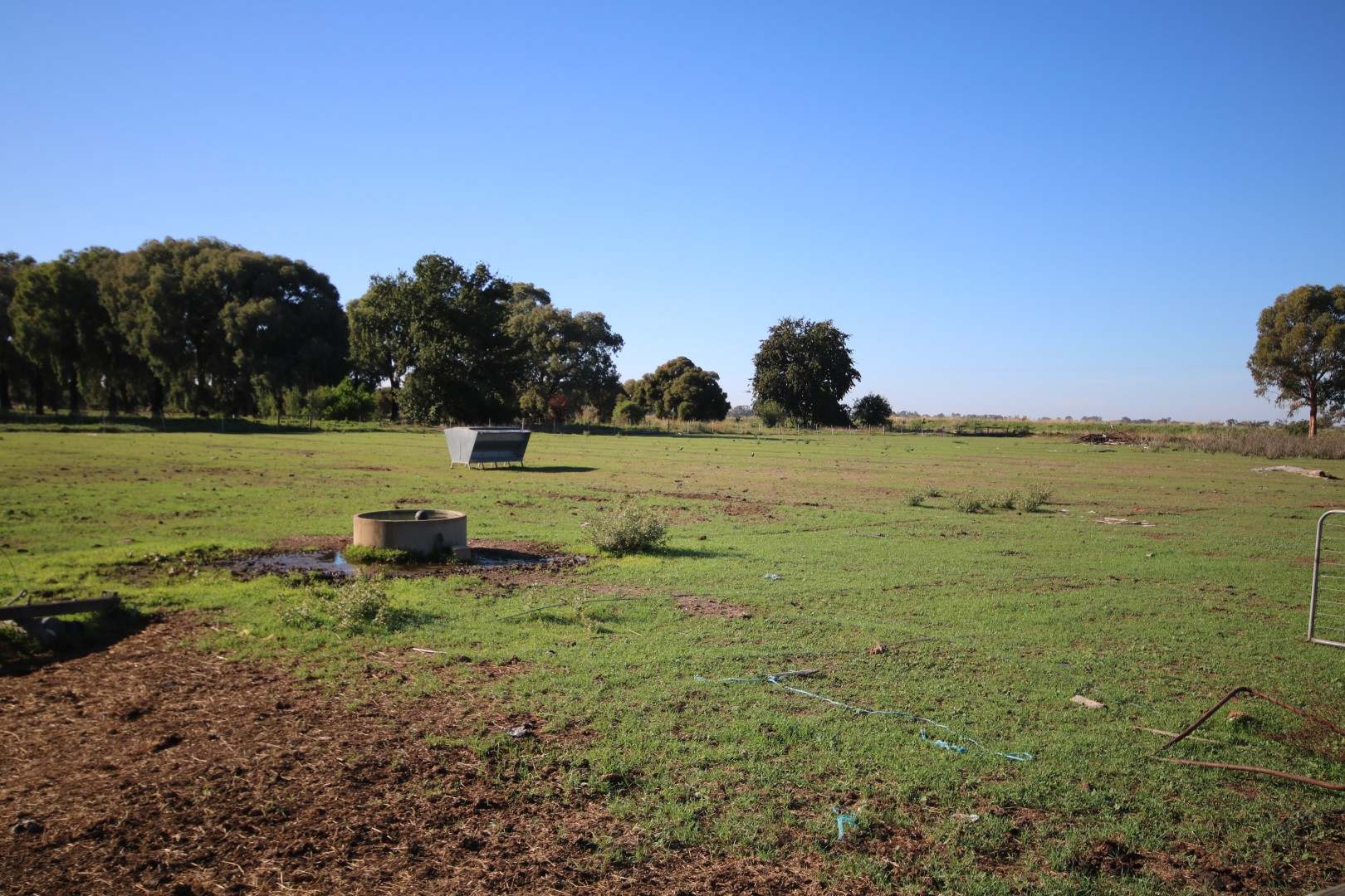 332 McColl Road, Ballendella For Sale by Farmbuy.com - image 25