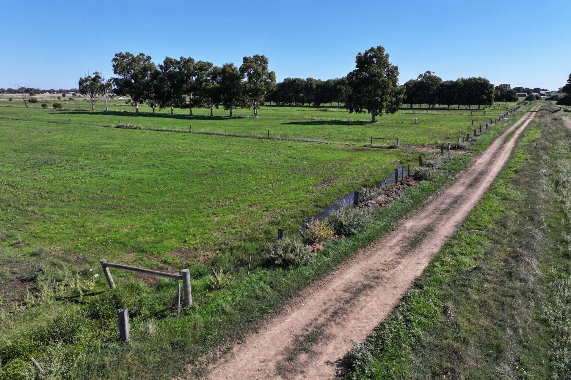 332 McColl Road, Ballendella For Sale by Farmbuy.com - image 19