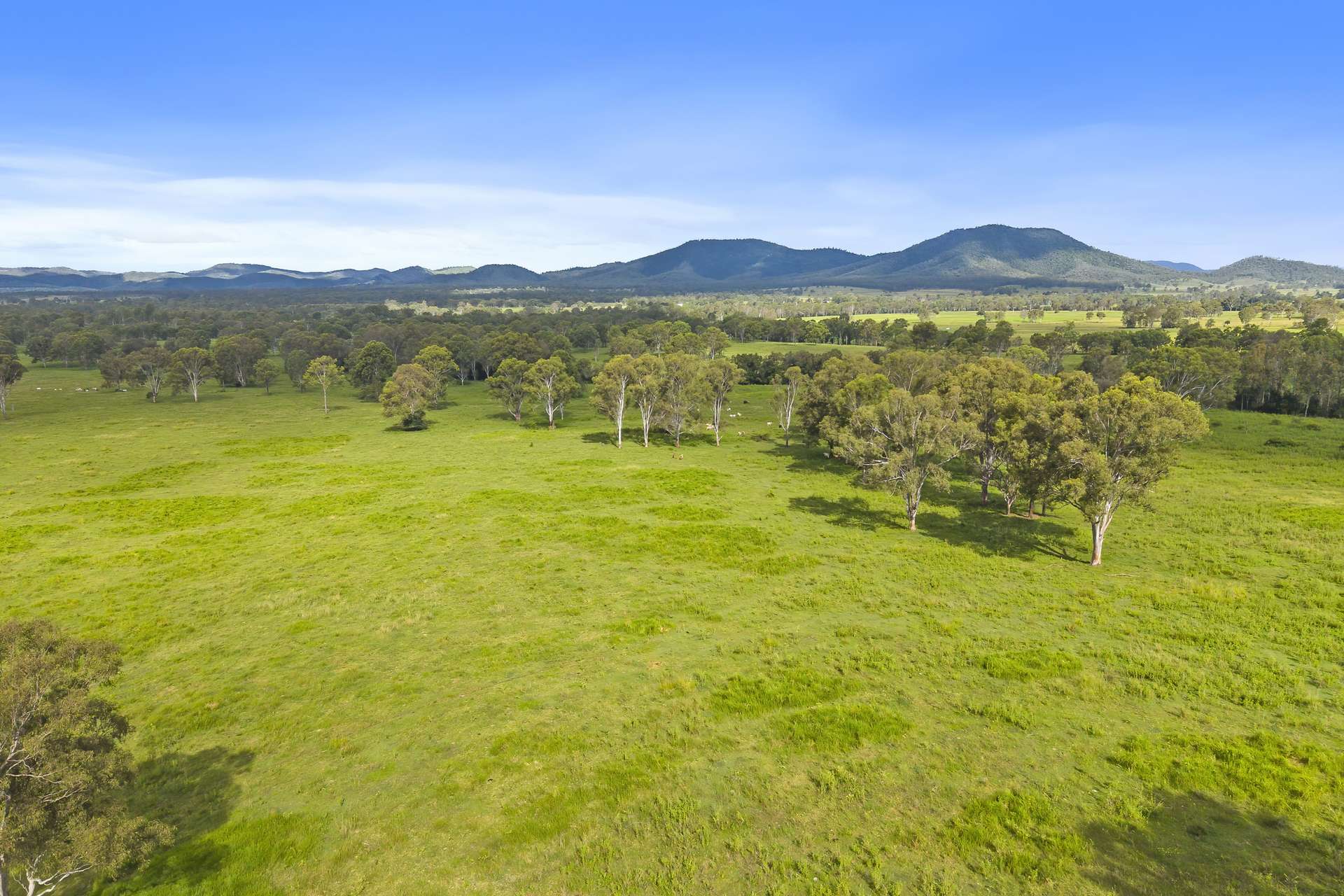 Lot 172 Gympie-Woolooga Road, Lower Wonga For Sale by Farmbuy.com - image 17