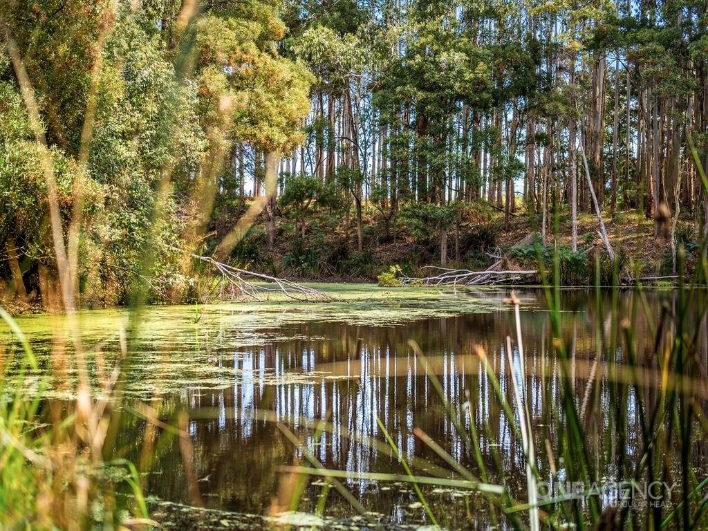444 Hardmans Road, Mella For Sale by Farmbuy.com - image 18