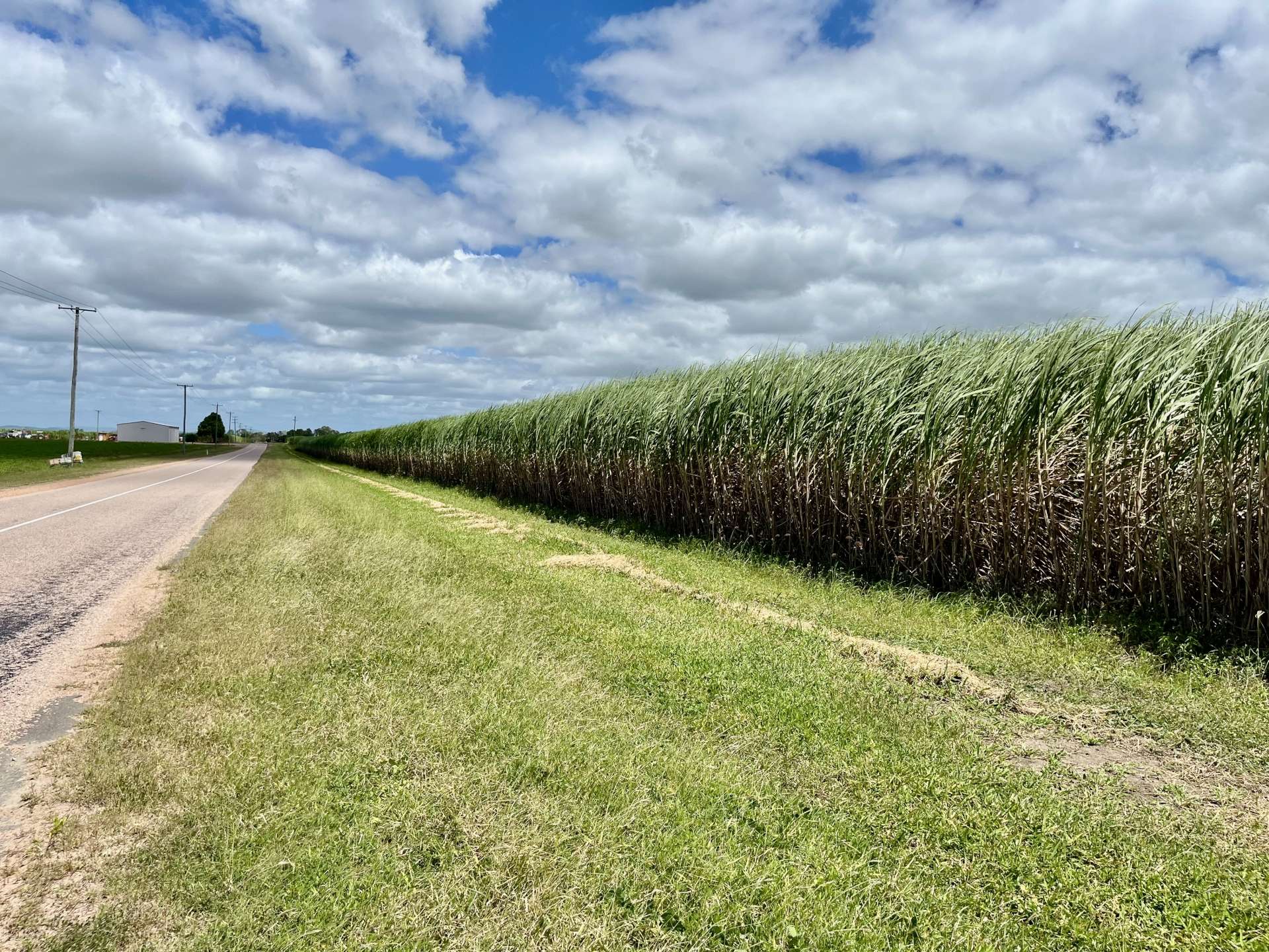 174 Fiveways Road, Brandon For Sale by Farmbuy.com - image 13