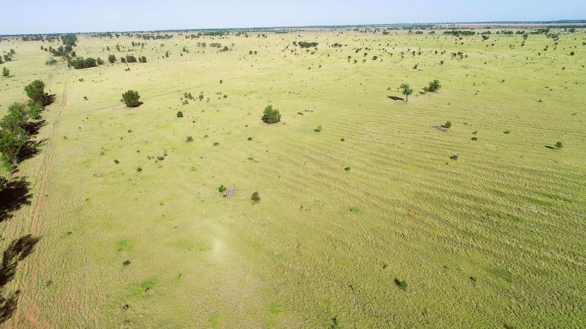 'Edenhope' 615 Barracks Road, Roma For Sale by Farmbuy.com - image 7