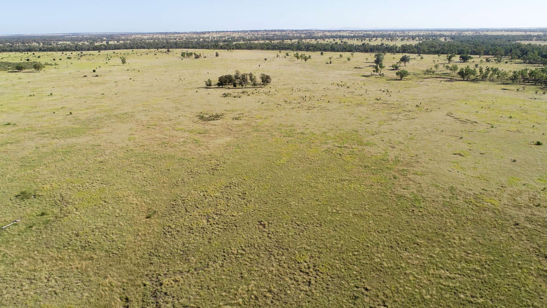 'Edenhope' 615 Barracks Road, Roma For Sale by Farmbuy.com - image 8