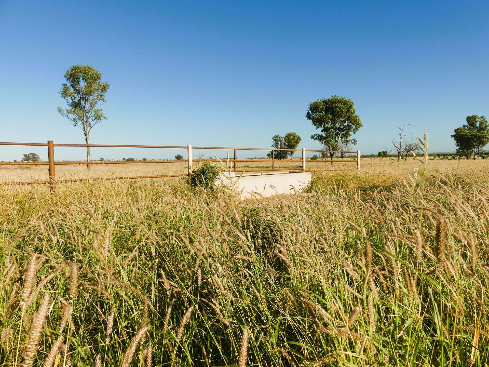 'Edenhope' 615 Barracks Road, Roma For Sale by Farmbuy.com - image 2