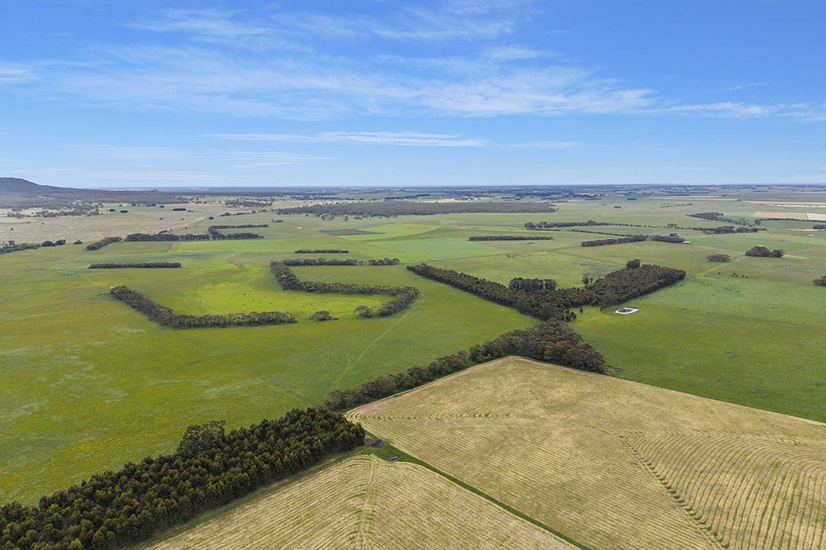 1621 Mount Napier Road, Gazette For Sale by Farmbuy.com - image 7