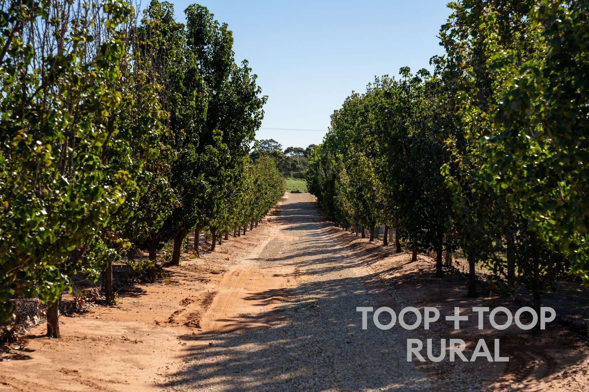 27 Pioneer Landing Drive, Loxton For Sale by Farmbuy.com - image 25