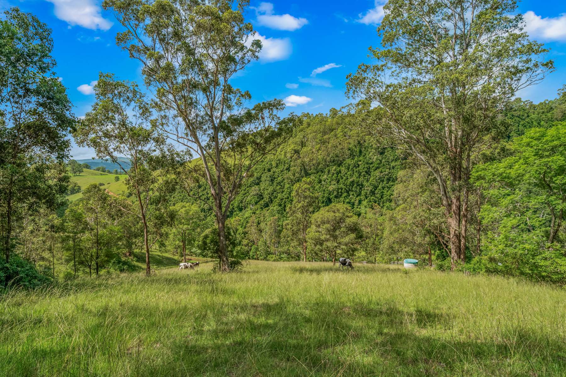664 Scone Road, Copeland Via, Gloucester Sold by Farmbuy.com - image 27