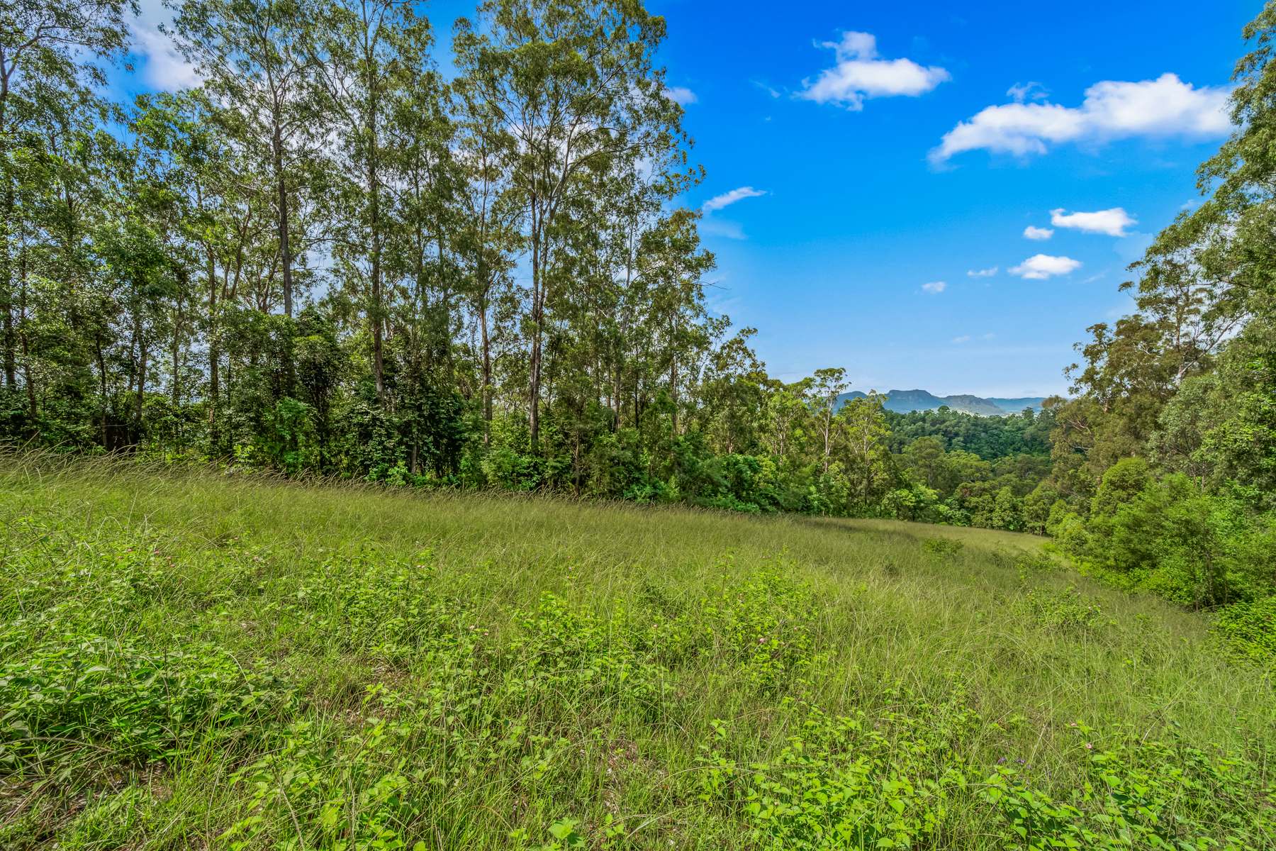 664 Scone Road, Copeland Via, Gloucester Sold by Farmbuy.com - image 26