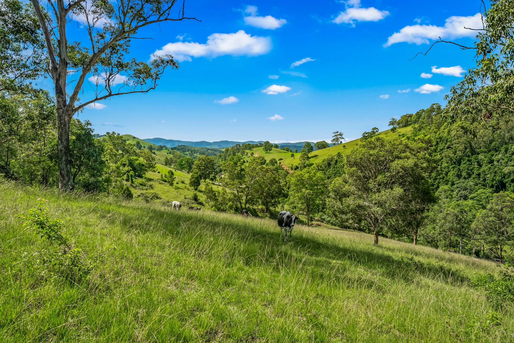 664 Scone Road, Copeland Via, Gloucester Sold by Farmbuy.com - image 28