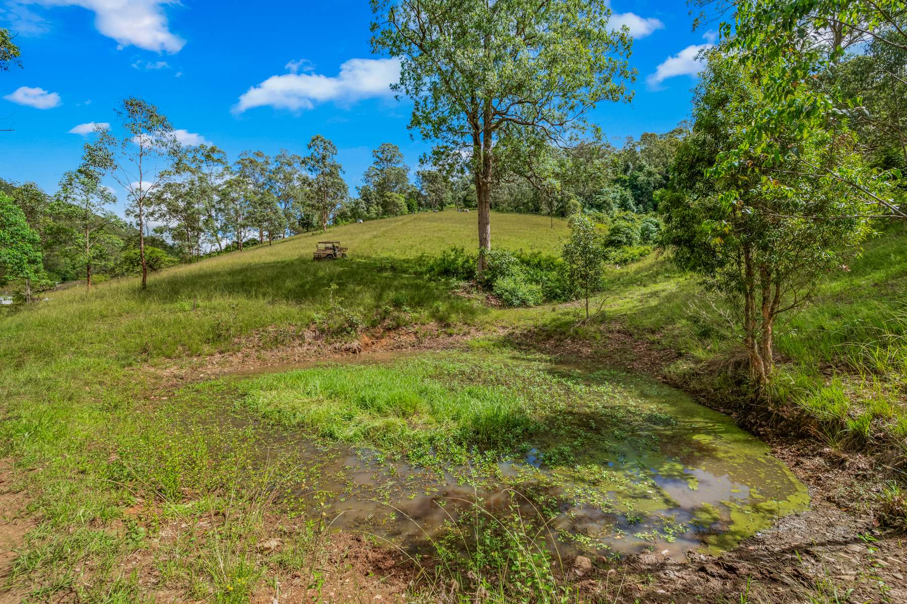 664 Scone Road, Copeland Via, Gloucester Sold by Farmbuy.com - image 30