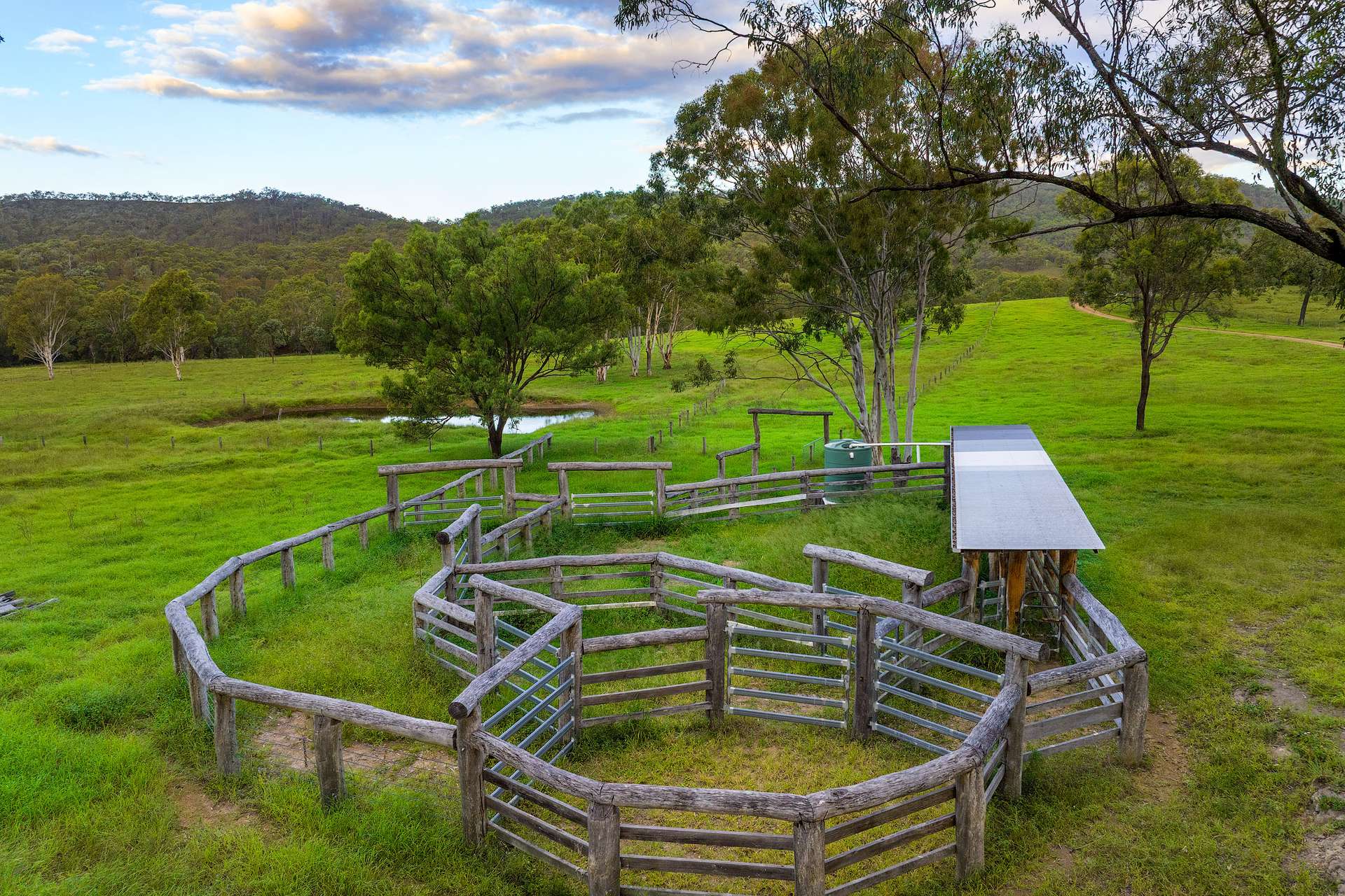 Lot 280 Baxter Road, Black Snake Sold by Farmbuy.com - image 4