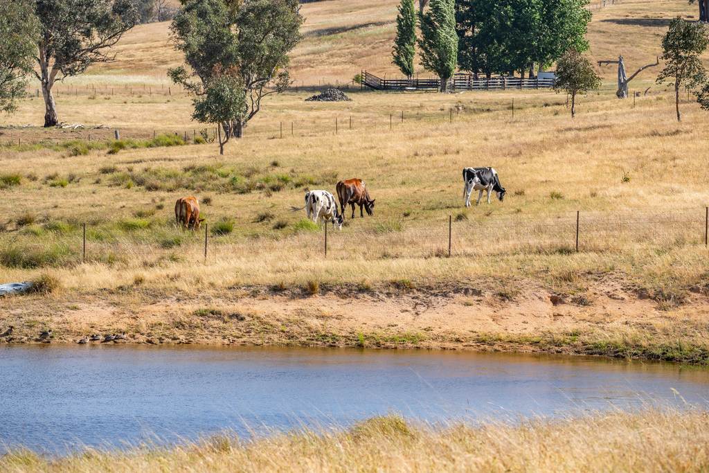 3705 Frogmore Road, Hovells Creek NSW 2794