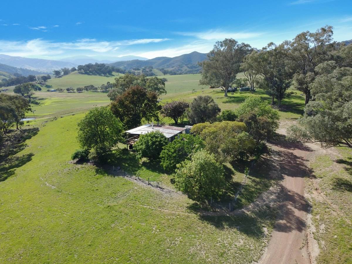 351 Brookville Road, Swifts Creek For Sale by Farmbuy.com - image 14