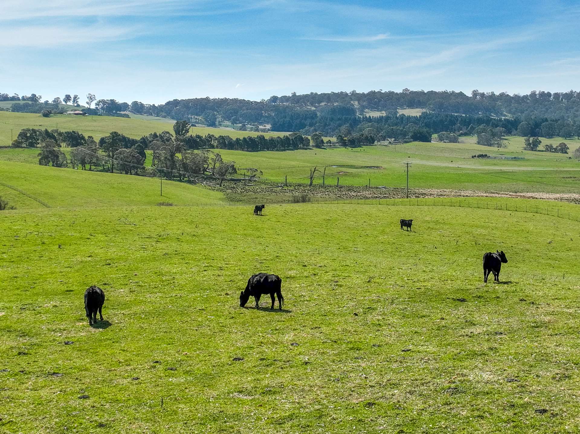 Lot 1, 1660 Edith Road, Oberon For Sale by Farmbuy.com - image 11