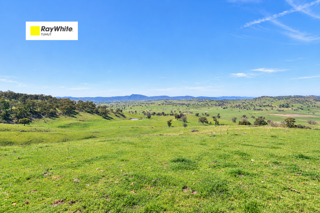 Part 1169 Grahamstown Road, Adelong NSW 2729