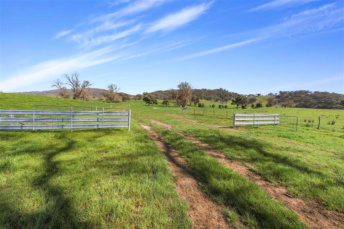 Part 1169 Grahamstown Road, Adelong For Sale by Farmbuy.com - image 2