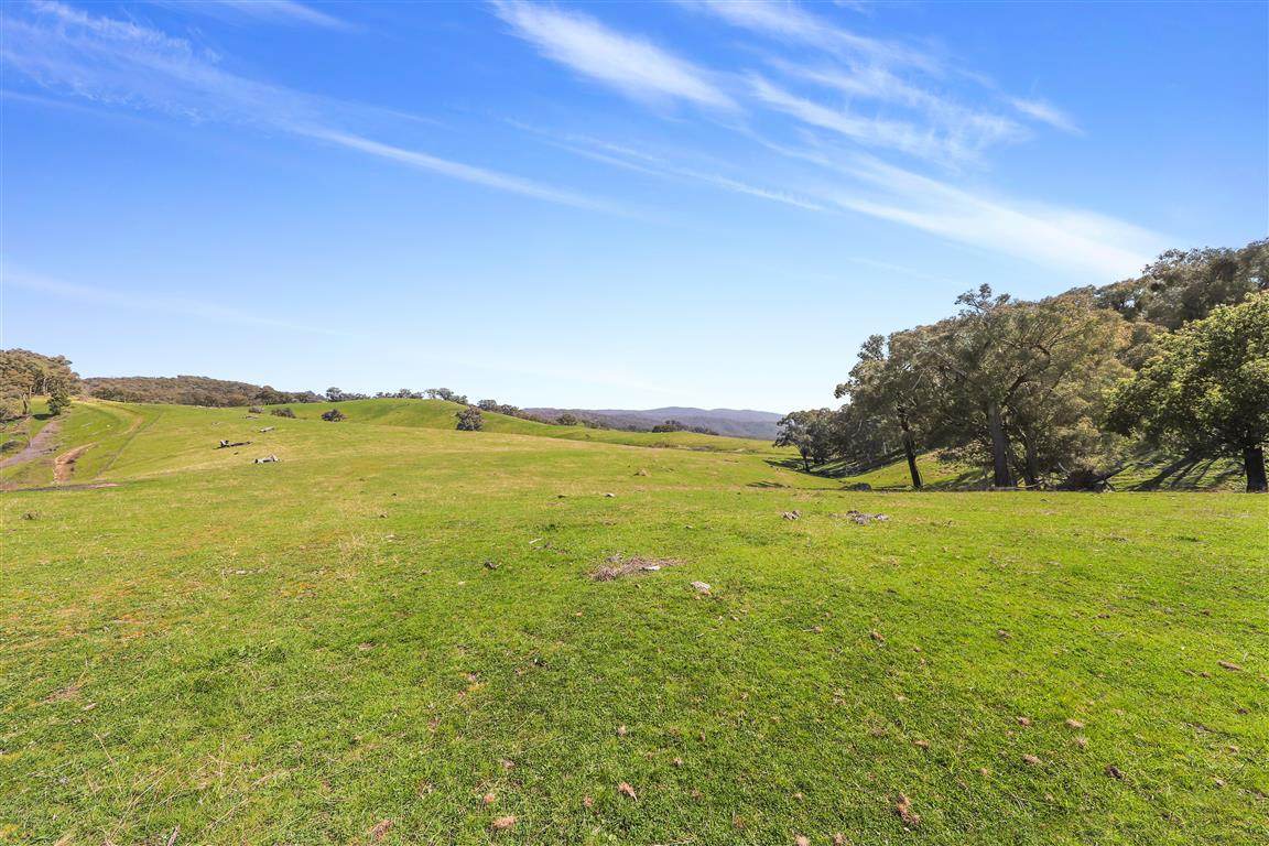 Part 1169 Grahamstown Road, Adelong For Sale by Farmbuy.com - image 8