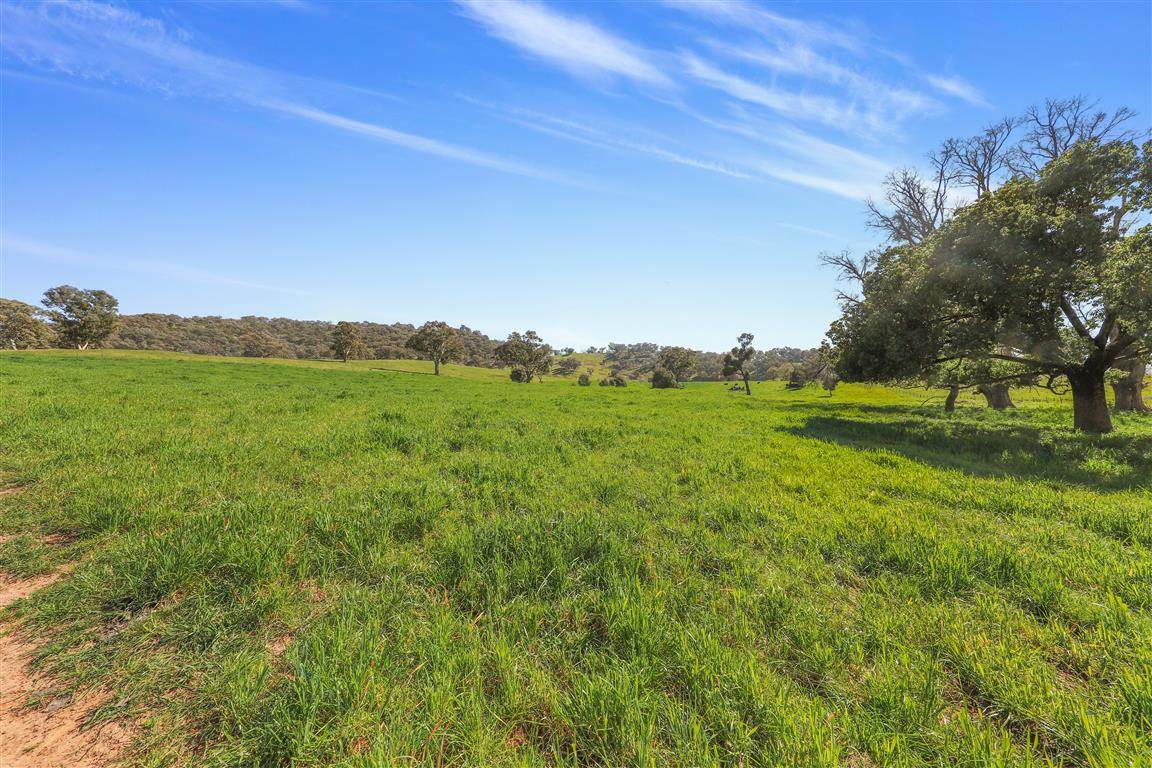 Part 1169 Grahamstown Road, Adelong For Sale by Farmbuy.com - image 6