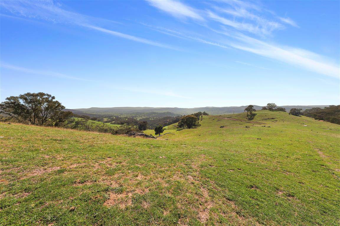 Part 1169 Grahamstown Road, Adelong For Sale by Farmbuy.com - image 9