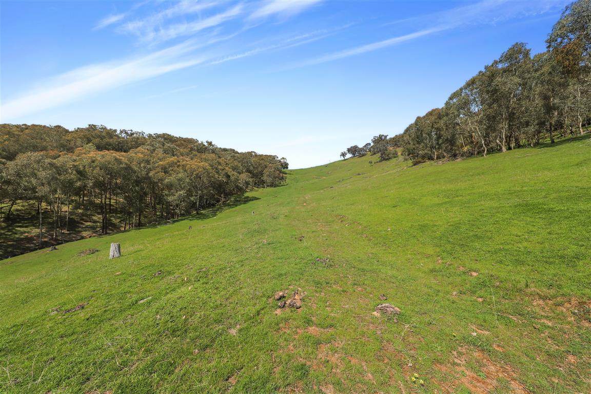 Part 1169 Grahamstown Road, Adelong For Sale by Farmbuy.com - image 12