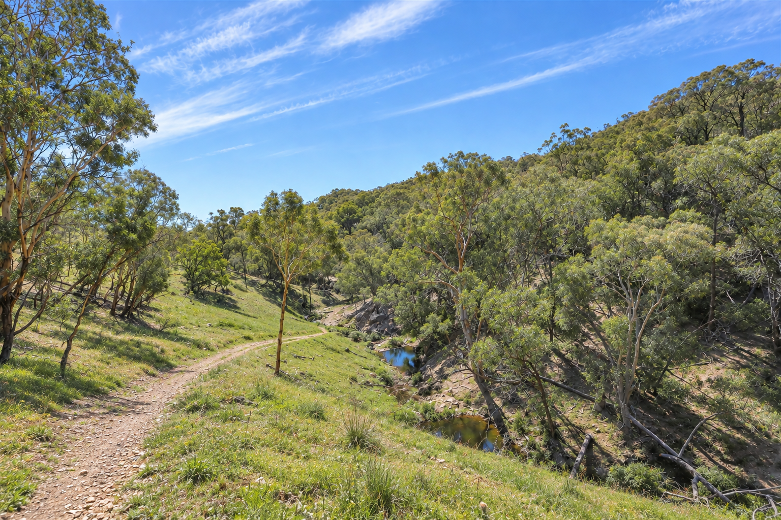 Part 1169 Grahamstown Road, Adelong For Sale by Farmbuy.com - image 13