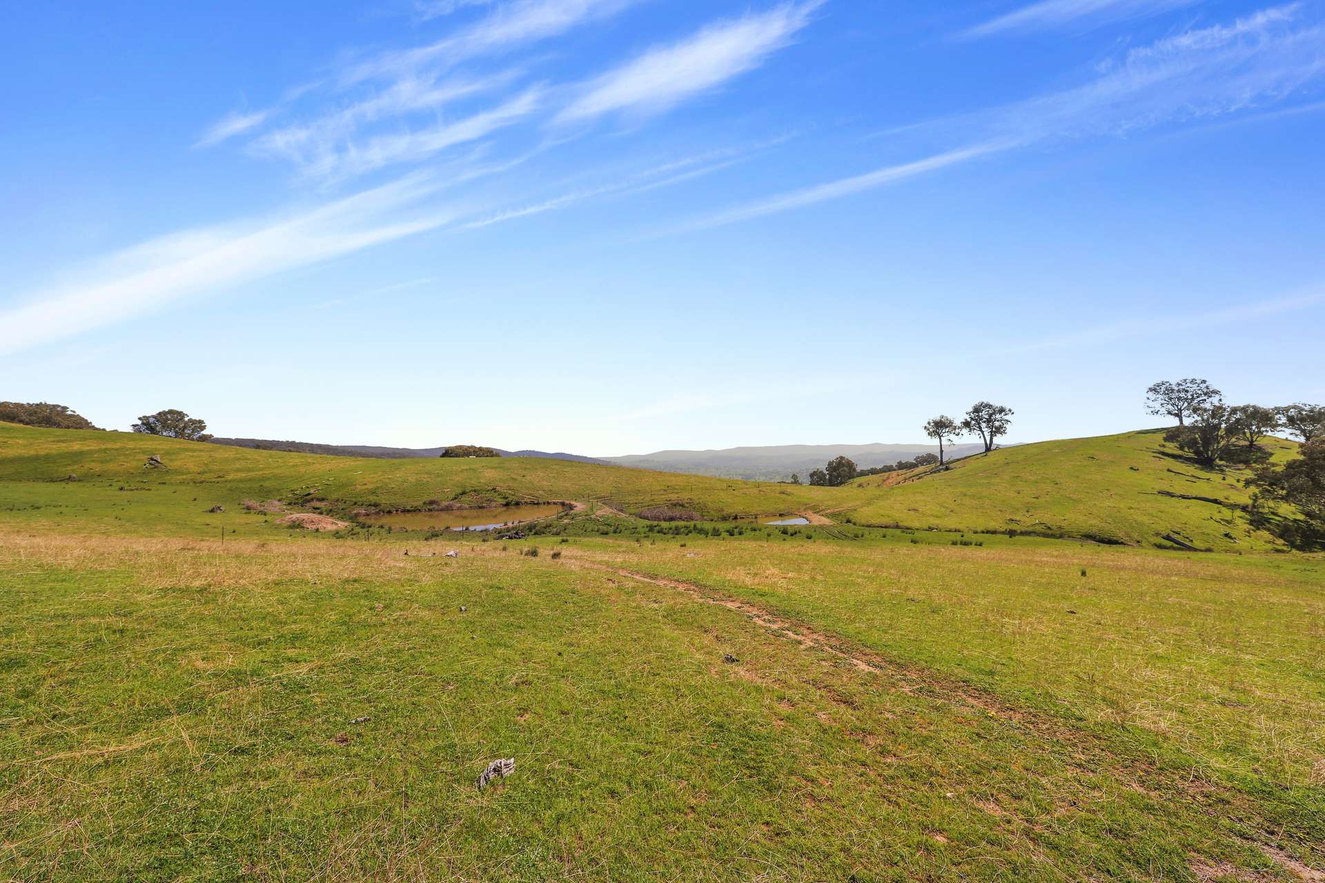 Part 1169 Grahamstown Road, Adelong For Sale by Farmbuy.com - image 7