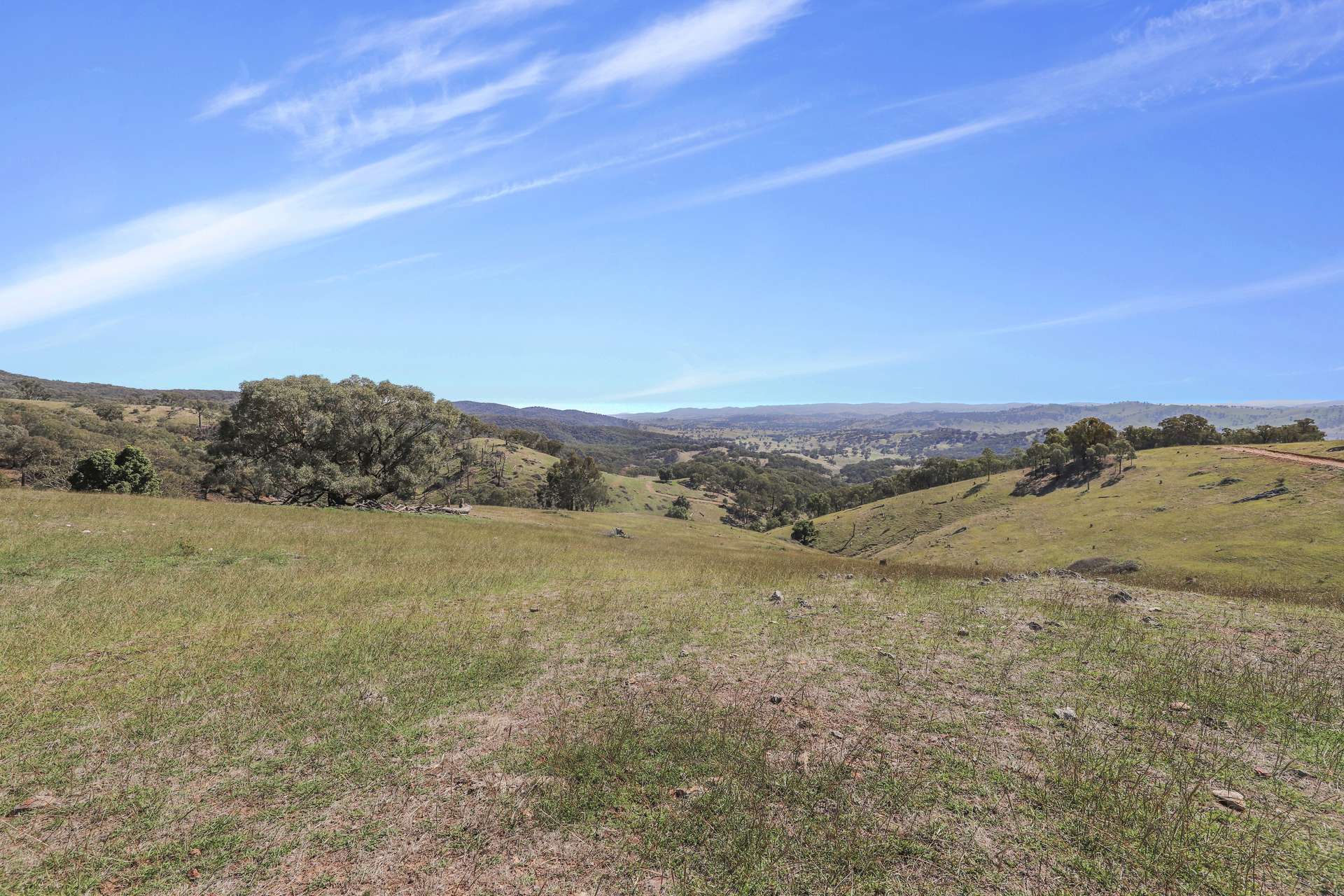 Part 1169 Grahamstown Road, Adelong For Sale by Farmbuy.com - image 7