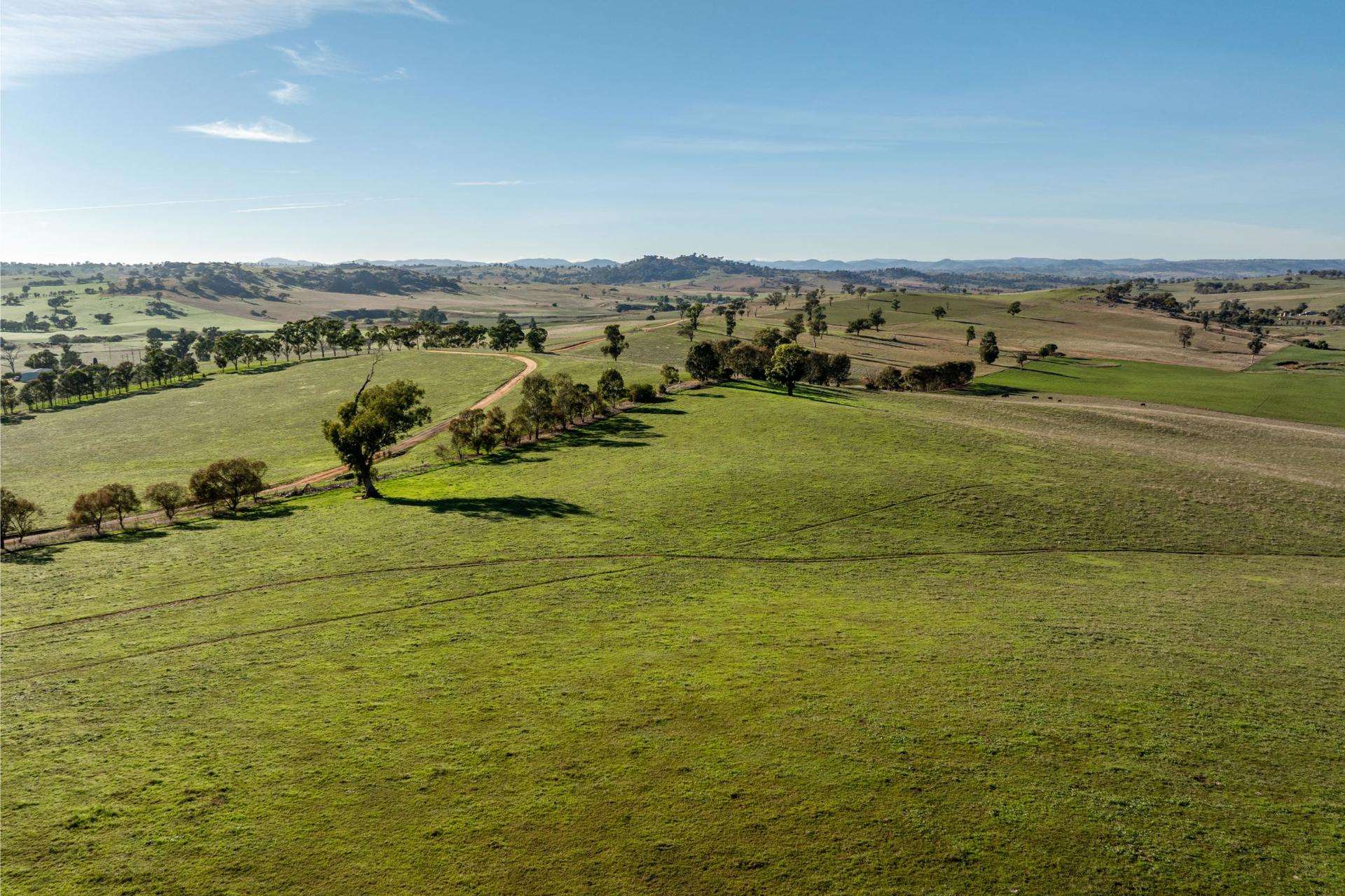 478 Illawong Road, Jugiong Sold by Farmbuy.com - image 11