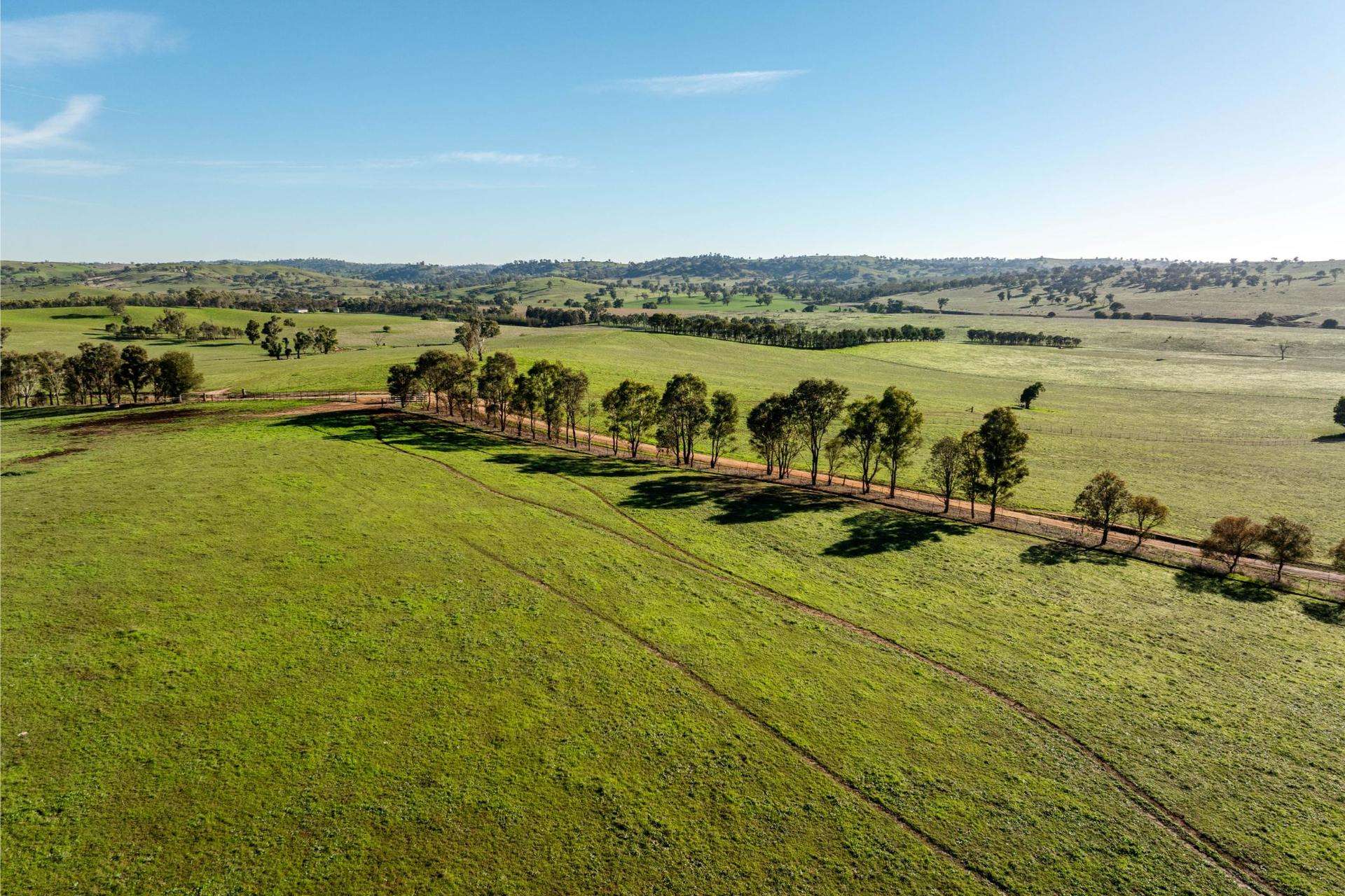 478 Illawong Road, Jugiong Sold by Farmbuy.com - image 15