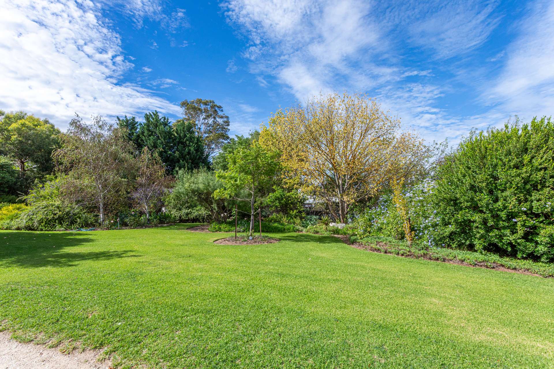43 Gordon Street, Naracoorte For Sale by Farmbuy.com - image 29