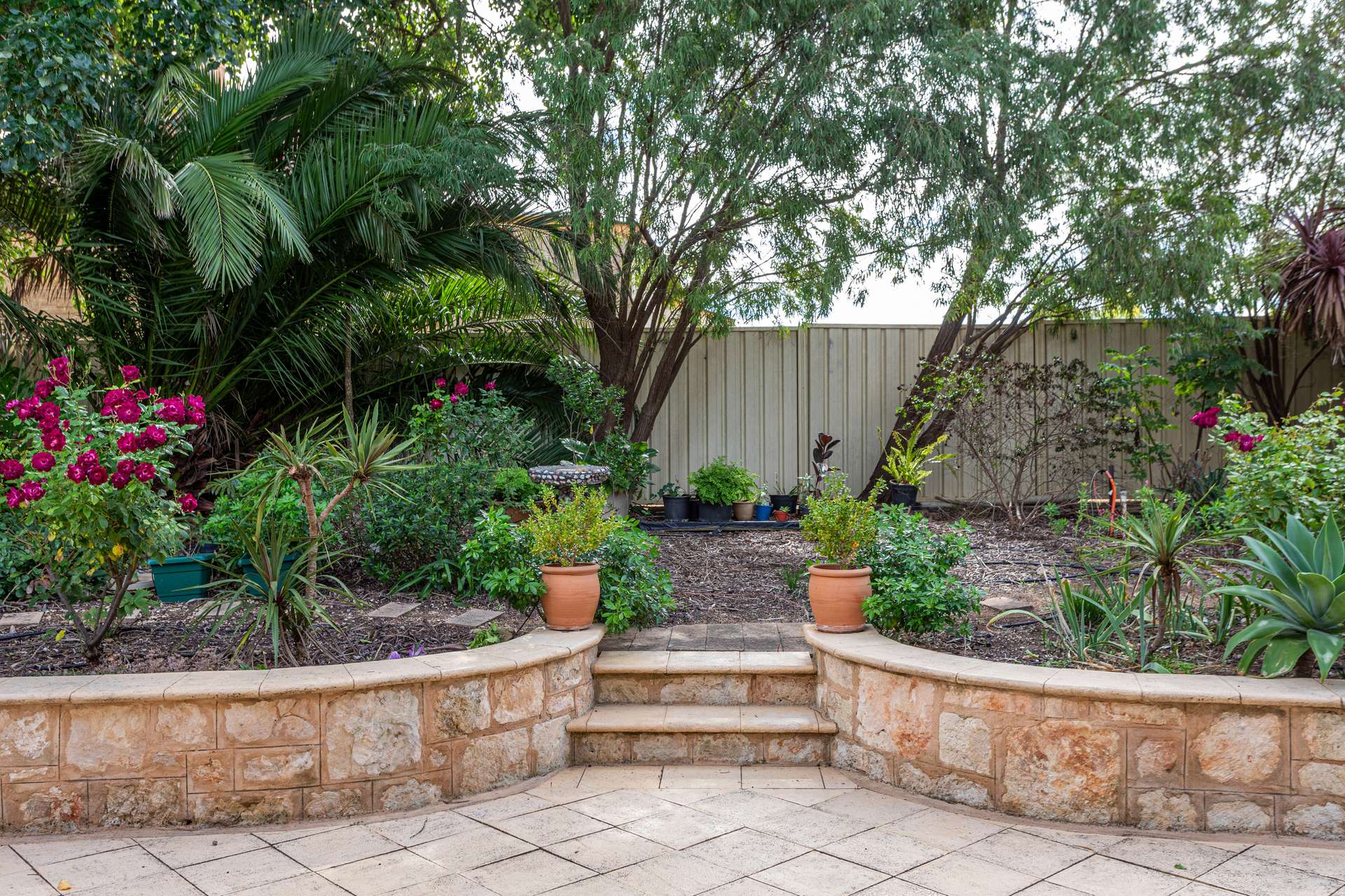 43 Gordon Street, Naracoorte For Sale by Farmbuy.com - image 28