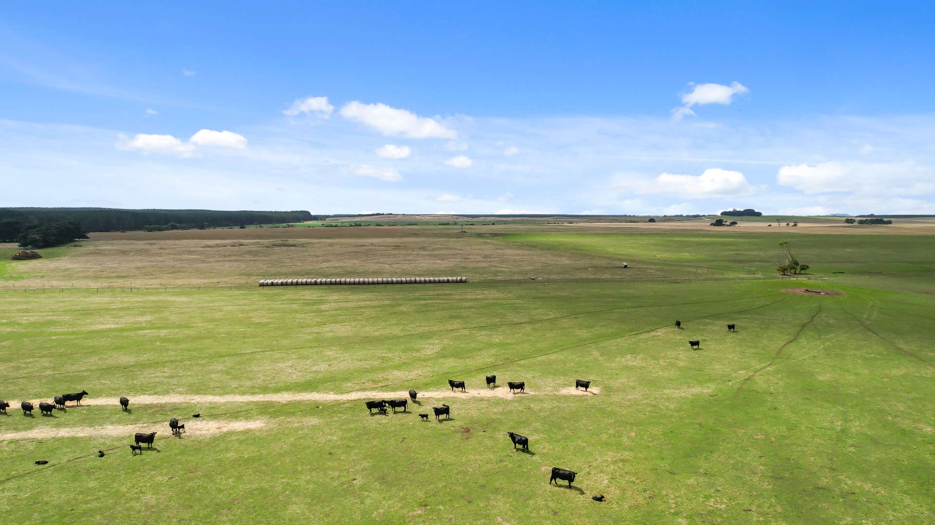 603 Blackfellows Caves Road, Kongorong Auction by Farmbuy.com - image 4