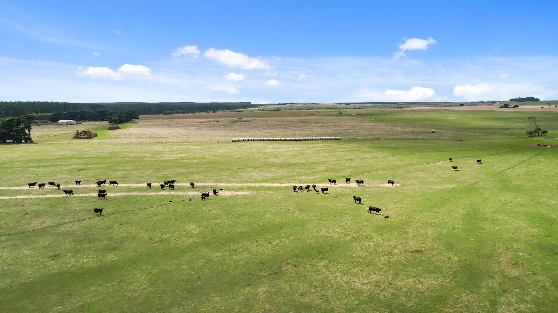 603 Blackfellows Caves Road, Kongorong Auction by Farmbuy.com - image 5