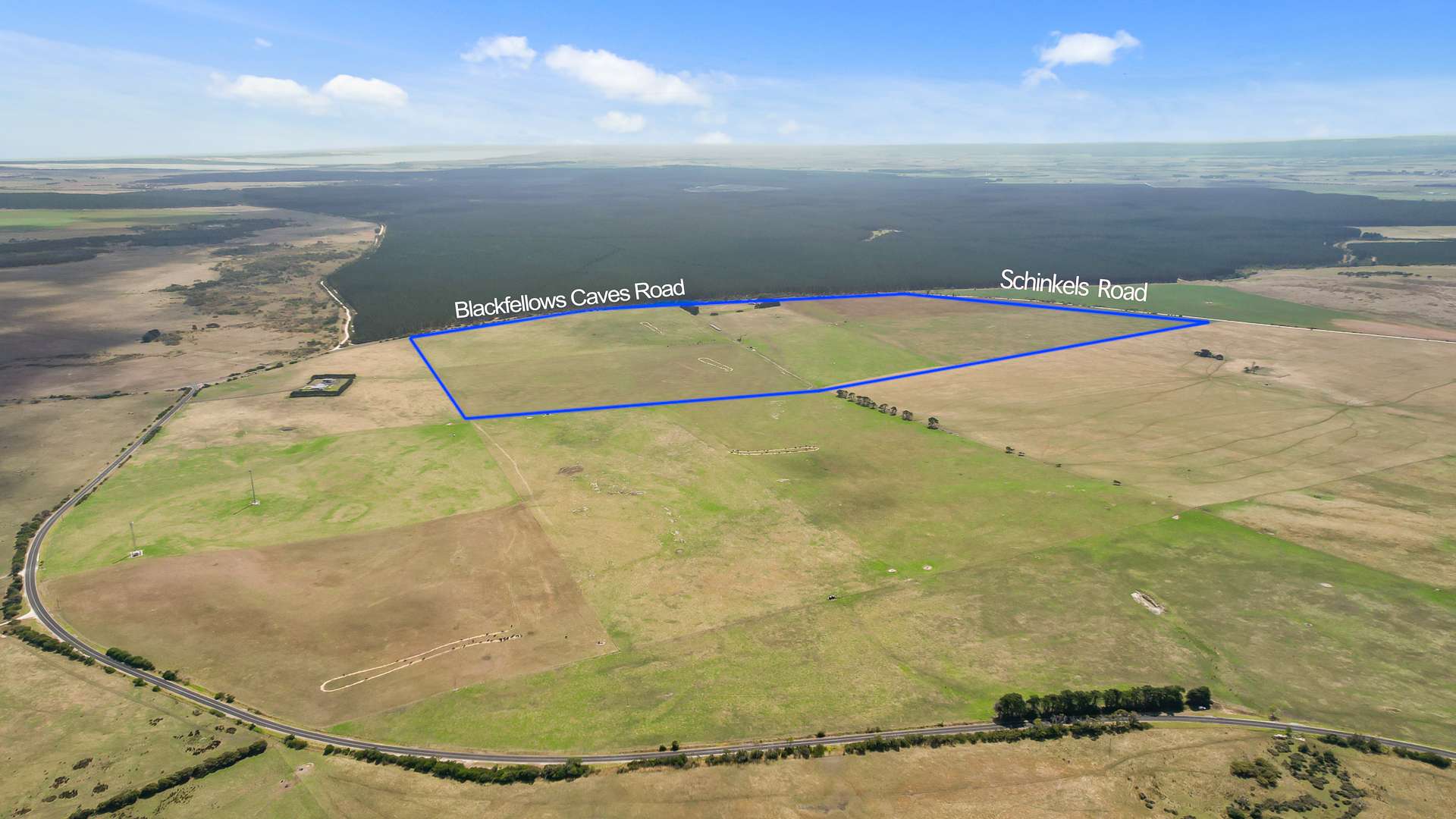 603 Blackfellows Caves Road, Kongorong For Sale by Farmbuy.com - image 8