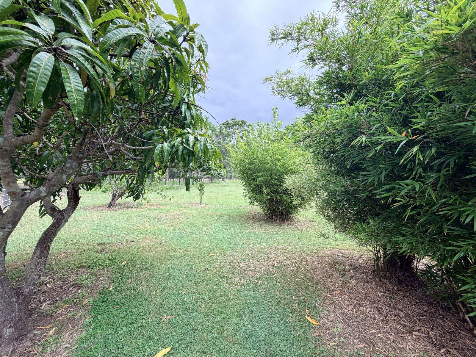 20 GREGORY DRIVE, Redridge For Sale by Farmbuy.com - image 22
