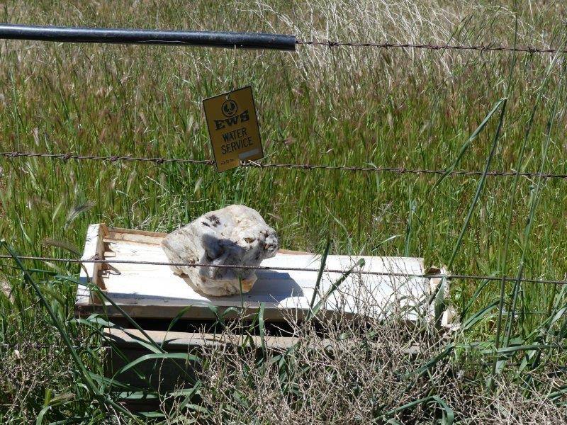 Yongala Vale & Malycha Road, Peterborough For Sale by Farmbuy.com - image 15