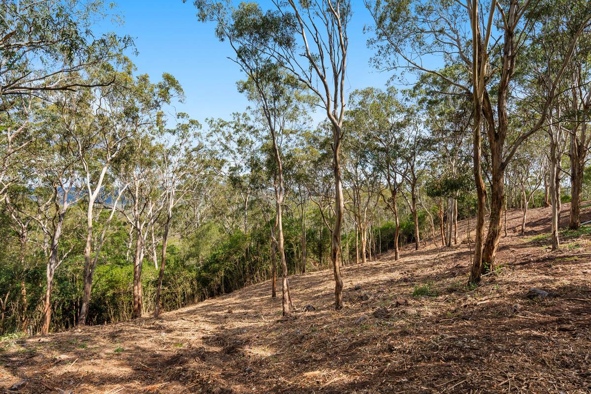 28 Coral Sea Drive, Middle Ridge For Sale by Farmbuy.com - image 8
