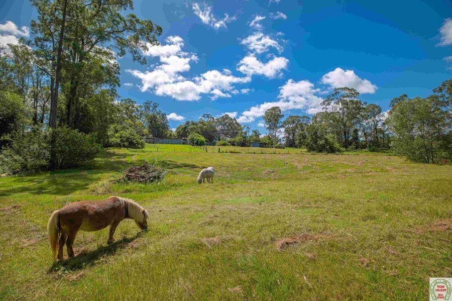 124-136 Eel Creek Road, Southside For Sale by Farmbuy.com - image 4