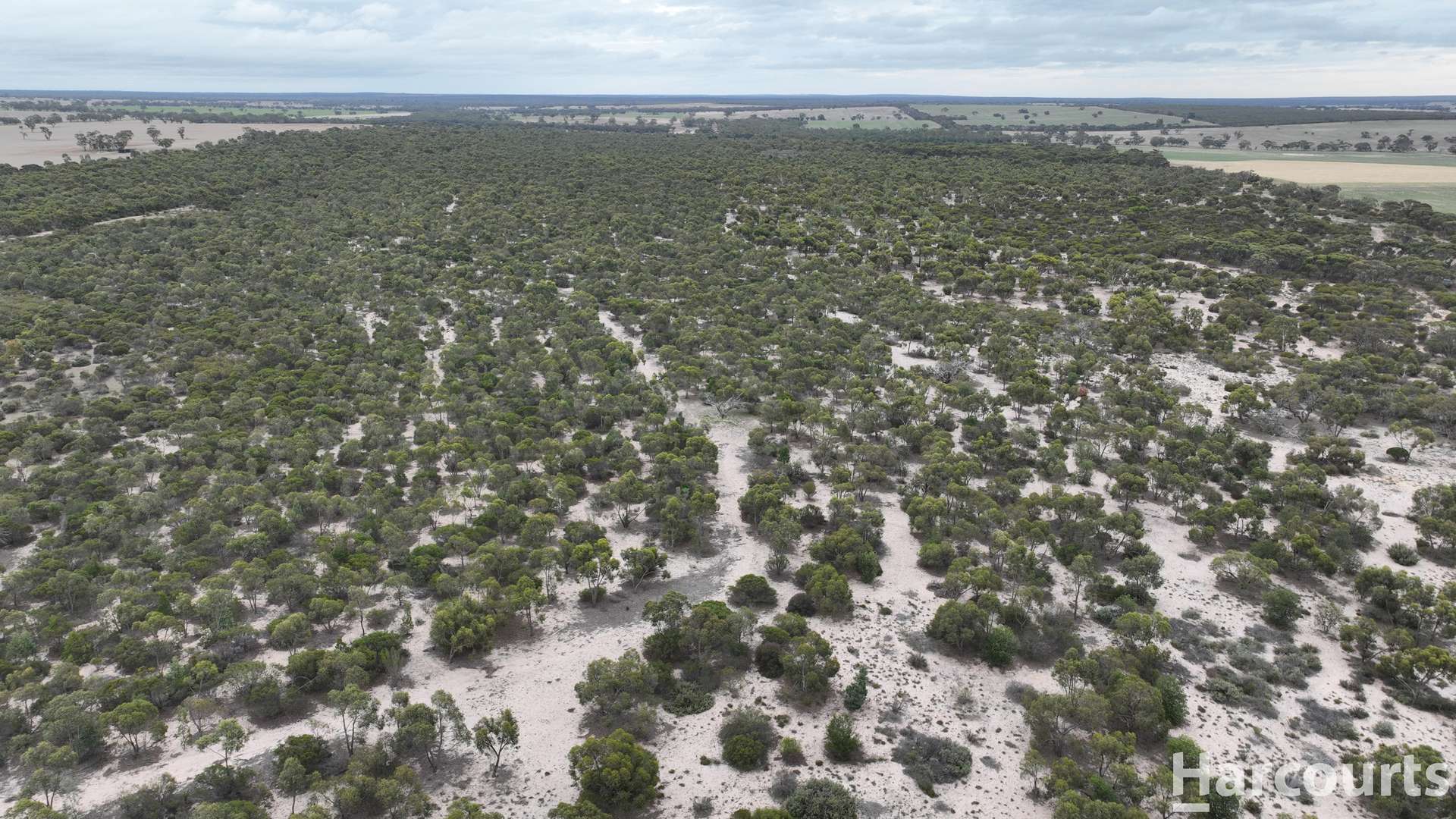 Lot 2 Mitre Road, Nurcoung For Sale by Farmbuy.com - image 31