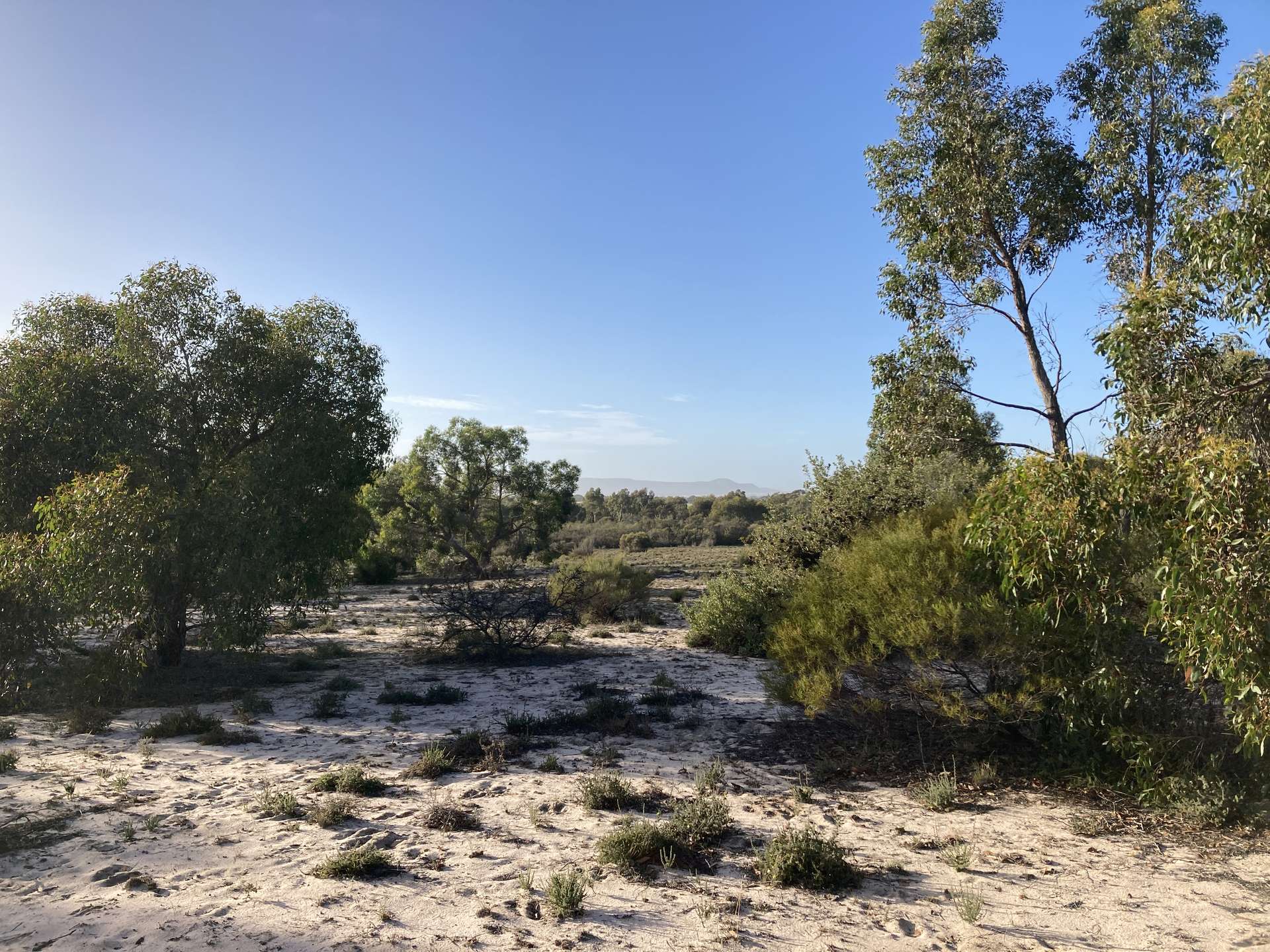 Lot 2 Mitre Road, Nurcoung For Sale by Farmbuy.com - image 3