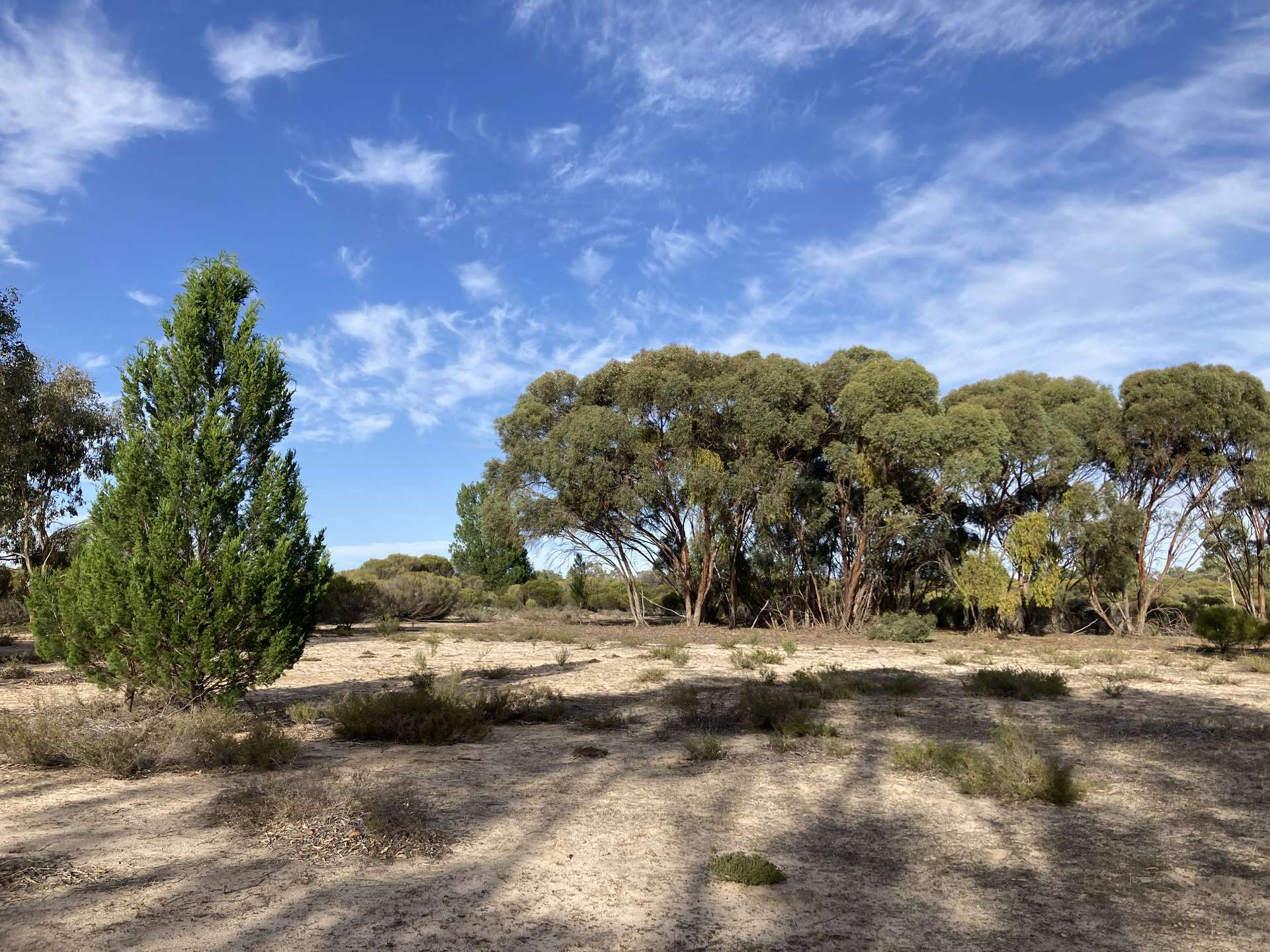 Lot 2 Mitre Road, Nurcoung For Sale by Farmbuy.com - image 6